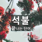석불로 끝나는 단어는? 5개