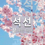 석선으로 끝나는 단어는? 4개