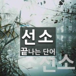 선소로 끝나는 단어는? 2개