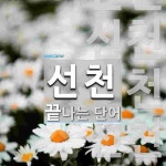 선천으로 끝나는 단어는? 7개