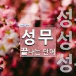 성무로 끝나는 단어는? 4개