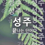 성주로 끝나는 단어는? 12개