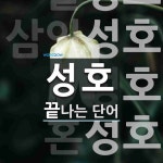성호로 끝나는 단어는? 6개