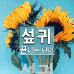 섶귀로 끝나는 단어는? 1개