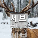 세브로 끝나는 단어는? 1개
