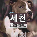 세천으로 끝나는 단어는? 1개