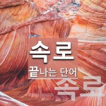 속로로 끝나는 단어는? 4개