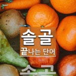 솔골 끝 단어