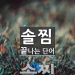 솔찜으로 끝나는 단어는? 1개