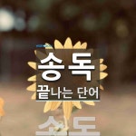송독으로 끝나는 단어는? 1개