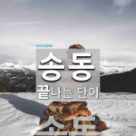 송동으로 끝나는 단어는? 1개