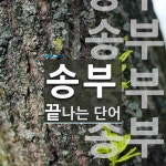 송부로 끝나는 단어는? 7개