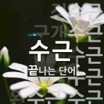 수근으로 끝나는 단어는? 12개