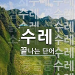 수레로 끝나는 단어는? 26개