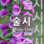 술시로 끝나는 단어는? 4개
