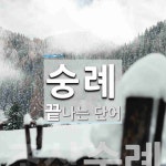 숭례로 끝나는 단어는? 1개