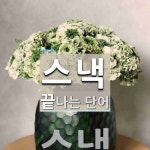 스낵 끝 단어