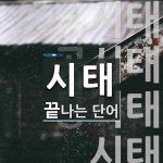 시태로 끝나는 단어는? 8개