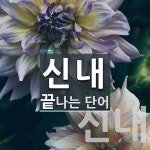 신내로 끝나는 단어는? 2개
