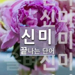 신미로 끝나는 단어는? 5개