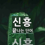 신흥으로 끝나는 단어는? 1개