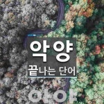 악양으로 끝나는 단어는? 1개