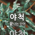 야척으로 끝나는 단어는? 1개