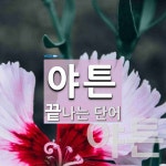 야튼주머니숯불갈비 | 야튼으로 끝나는 단어는? 2개