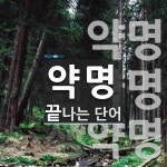 약명으로 끝나는 단어는? 3개