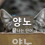 양노로 끝나는 단어는? 1개