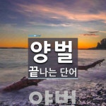 양벌로 끝나는 단어는? 1개