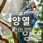 양열로 끝나는 단어는? 3개
