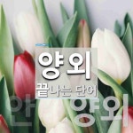 양외로 끝나는 단어는? 2개