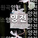 양전으로 끝나는 단어는? 16개