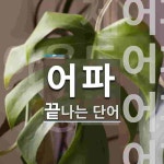 어파로 끝나는 단어는? 20개