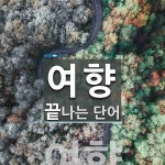 여향으로 끝나는 단어는? 1개