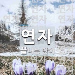 연자로 끝나는 단어는? 28개