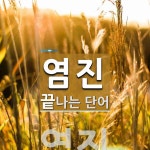 염진으로 끝나는 단어는? 1개