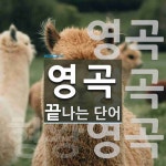 영곡 끝 단어