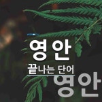 영안으로 끝나는 단어는? 2개