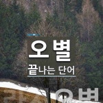 오별로 끝나는 단어는? 2개