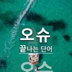 오슈로 끝나는 단어는? 1개