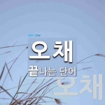 오채로 끝나는 단어는? 3개