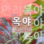 옥야로 끝나는 단어는? 3개