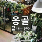 옹골로 끝나는 단어는? 1개