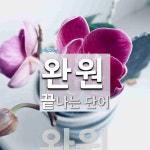 완원으로 끝나는 단어는? 1개