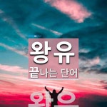 왕유로 끝나는 단어는? 1개