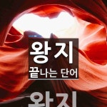 왕지로 끝나는 단어는? 7개