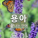용아로 끝나는 단어는? 1개