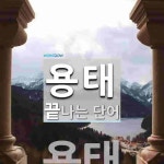 용태로 끝나는 단어는? 5개